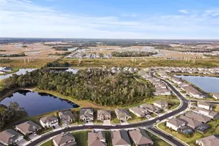 9125 Warm Spgs Cir, Parrish, FL 34219 - Photo 38