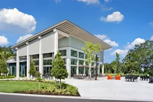 9125 Warm Spgs Cir, Parrish, FL 34219 - Photo 42