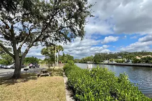 9205 Tudor Dr, Tampa, FL 33615 - Photo 48