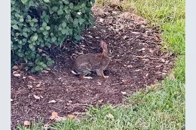 4683 Winston Lane N #30, Sarasota, FL 34235 - Photo 48