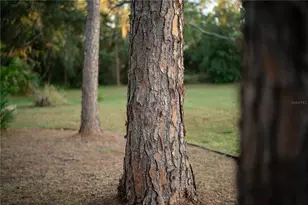 18702 69th Ave E, Bradenton, FL 34211 - Photo 64