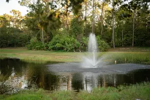 18702 69th Ave E, Bradenton, FL 34211 - Photo 42