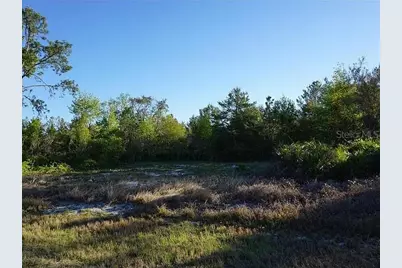 1327 St Augustine Court, Kissimmee, FL 34759 - Photo 4