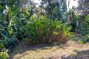 3226 Patton St, Sarasota, FL 34235 - Photo 26