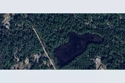 105 Brierly Street, Georgetown, FL 32139 - Photo 2