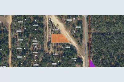 09-10-24-4068-0440-0060 Burton Street, Interlachen, FL 32148 - Photo 1