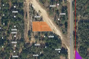 09-10-24-4068-0440-0060 Burton St, Interlachen, FL 32148 - Photo 1