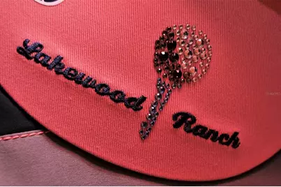 7038 Woodmore Terrace, Lakewood Ranch, FL 34202 - Photo 56