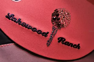 7038 Woodmore Terrace, Lakewood Ranch, FL 34202 - Photo 56