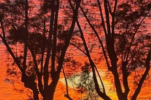 5055 Gulf of Mexico Dr, Longboat Key, FL 34228 - Photo 22