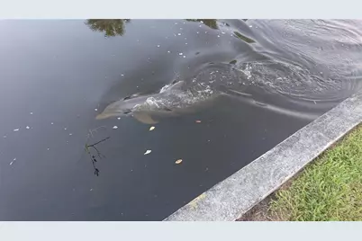 4512 26th Avenue S, Tampa, FL 33619 - Photo 2