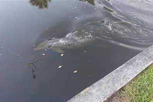 4512 26th Ave S, Tampa, FL 33619 - Photo 2