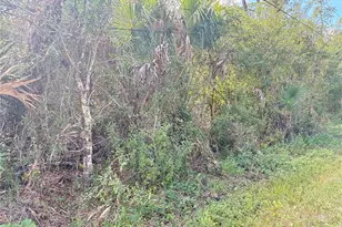 Cobbler Ln, North Port, FL 34286 - Photo 2