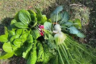 6570 Old Ranch Rd, Sarasota, FL 34241 - Photo 42