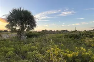 15192 NW 270th St, Okeechobee, FL 34972 - Photo 1