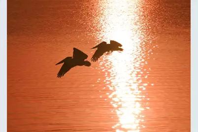 4900 Gulf Of Mexico Drive #203, Longboat Key, FL 34228 - Photo 70