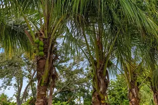 1705 Field Rd, Sarasota, FL 34231 - Photo 50