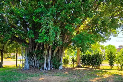 3120 Arch Drive, Sarasota, FL 34232 - Photo 42