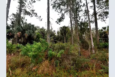 Cissus Avenue, North Port, FL 34288 - Photo 1
