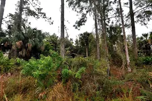 Cissus Ave, North Port, FL 34288 - Photo 1