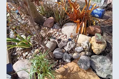 3001 Eden Mills Dr, Sarasota, FL 34237 - Photo 48