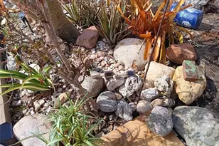 3001 Eden Mills Dr, Sarasota, FL 34237 - Photo 48