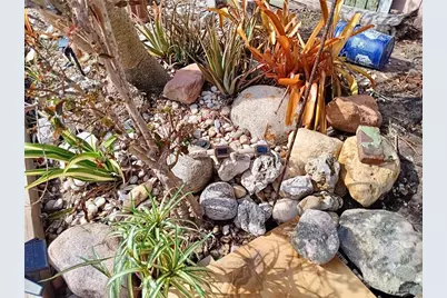 3001 Eden Mills Dr, Sarasota, FL 34237 - Photo 32