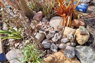 3001 Eden Mills Dr, Sarasota, FL 34237 - Photo 32