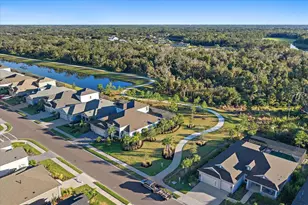 4319 Big Woods Way, Parrish, FL 34219 - Photo 48