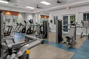 4319 Big Woods Way, Parrish, FL 34219 - Photo 56