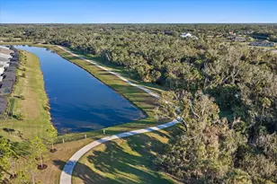 4319 Big Woods Way, Parrish, FL 34219 - Photo 46