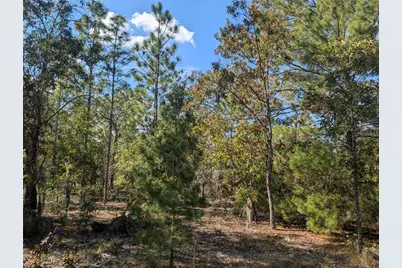 Rose Trail, Interlachen, FL 32148 - Photo 20