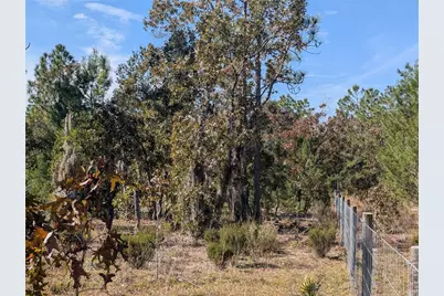 Rose Trail, Interlachen, FL 32148 - Photo 22