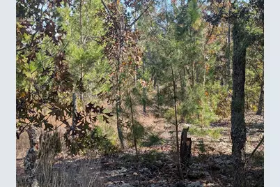 Rose Trail, Interlachen, FL 32148 - Photo 12