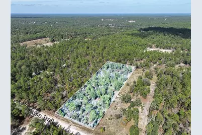Rose Trail, Interlachen, FL 32148 - Photo 2