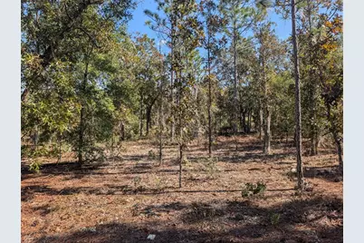 Rose Trail, Interlachen, FL 32148 - Photo 14