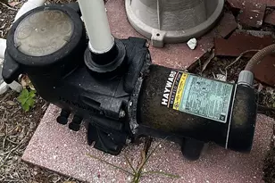 9596 Groveland St, Seminole, FL 33772 - Photo 14