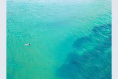 3835 Almeria Court #C1, Sarasota, FL 34239 - Photo 64