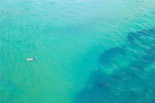 3835 Almeria Ct, Sarasota, FL 34239 - Photo 64