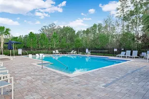 4580 Sparkling Shell Ave, Kissimmee, FL 34746 - Photo 4