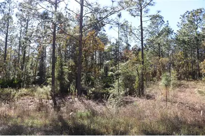 Tbd SW 131st Circle, Ocala, FL 34481 - Photo 2