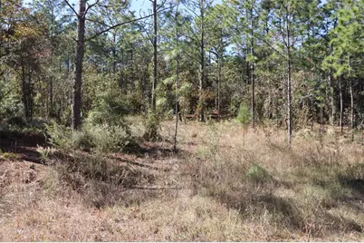 Tbd SW 131st Circle, Ocala, FL 34481 - Photo 6