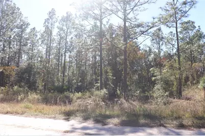 Tbd SW 131st Circle, Ocala, FL 34481 - Photo 10