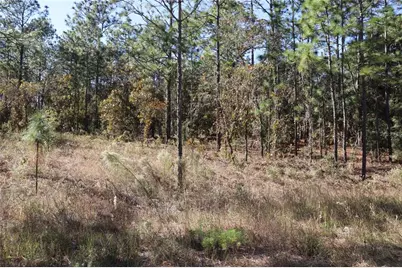 Tbd SW 131st Circle, Ocala, FL 34481 - Photo 12