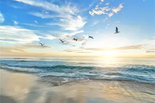 410 Garfield Dr, Sarasota, FL 34236 - Photo 60