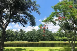 15207 17th Ave E, Bradenton, FL 34212 - Photo 48