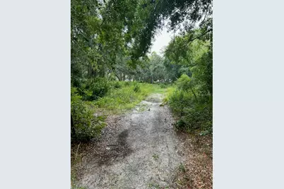 9437 SE 192nd Avenue, Ocklawaha, FL 32179 - Photo 2