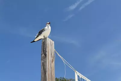 311 76th Street NW, Bradenton, FL 34209 - Photo 80