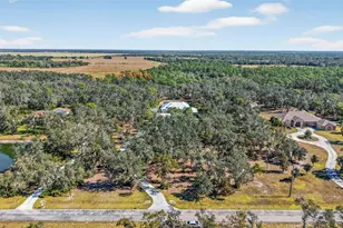 8015 High Oaks Trail, Myakka City, FL 34251 - Photo 54