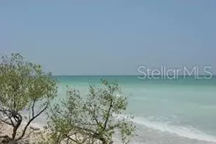 2435 Sumatran Way, Clearwater, FL 33763 - Photo 32